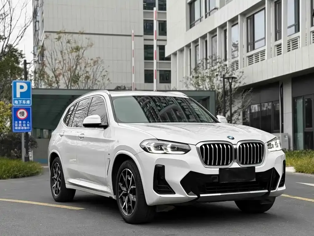BMW X3 2021 из CN, фото 9