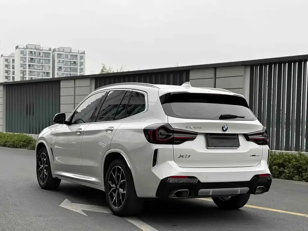 BMW X3 2021 из CN, фото 6