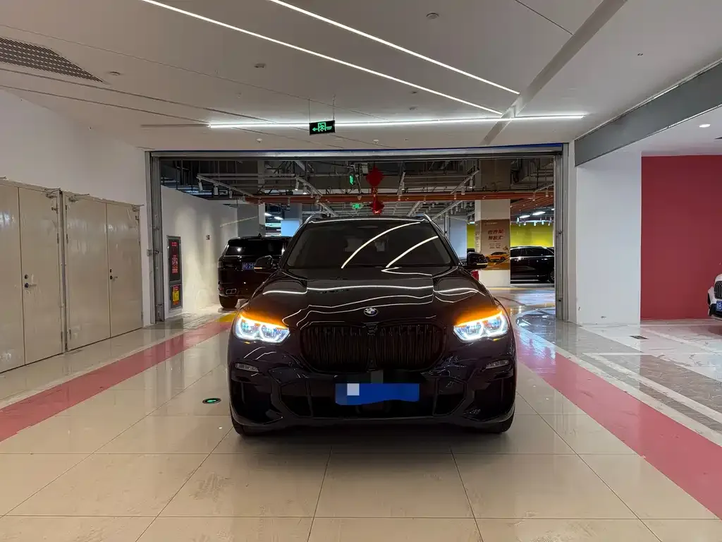 BMW X5 (Import) 2021 из CN, фото 6