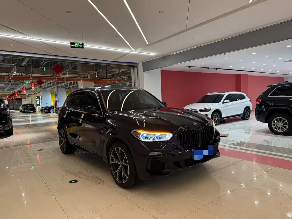 BMW X5 (Import) 2021 из CN, фото 5