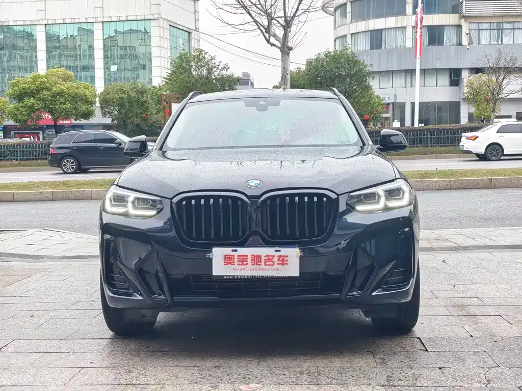 BMW X3 2022 из CN, фото 9