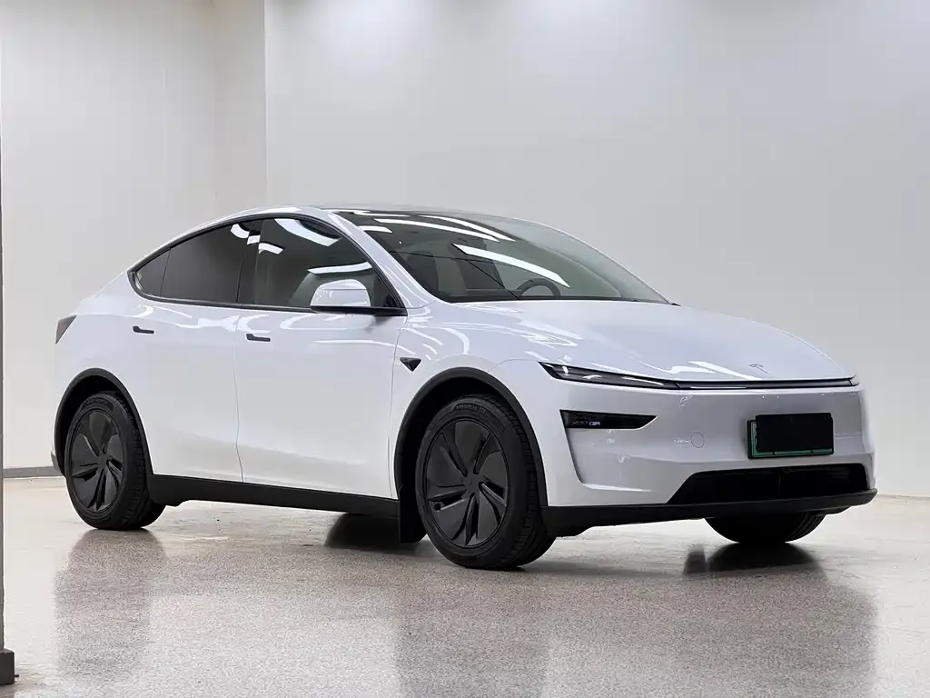 Tesla Model Y — фото 6