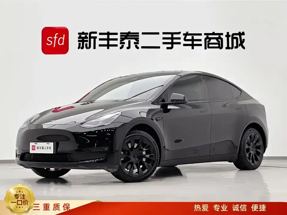 Tesla Model Y — фото 1