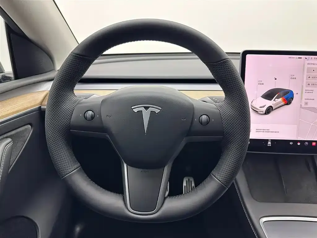 Tesla Model Y — фото 9