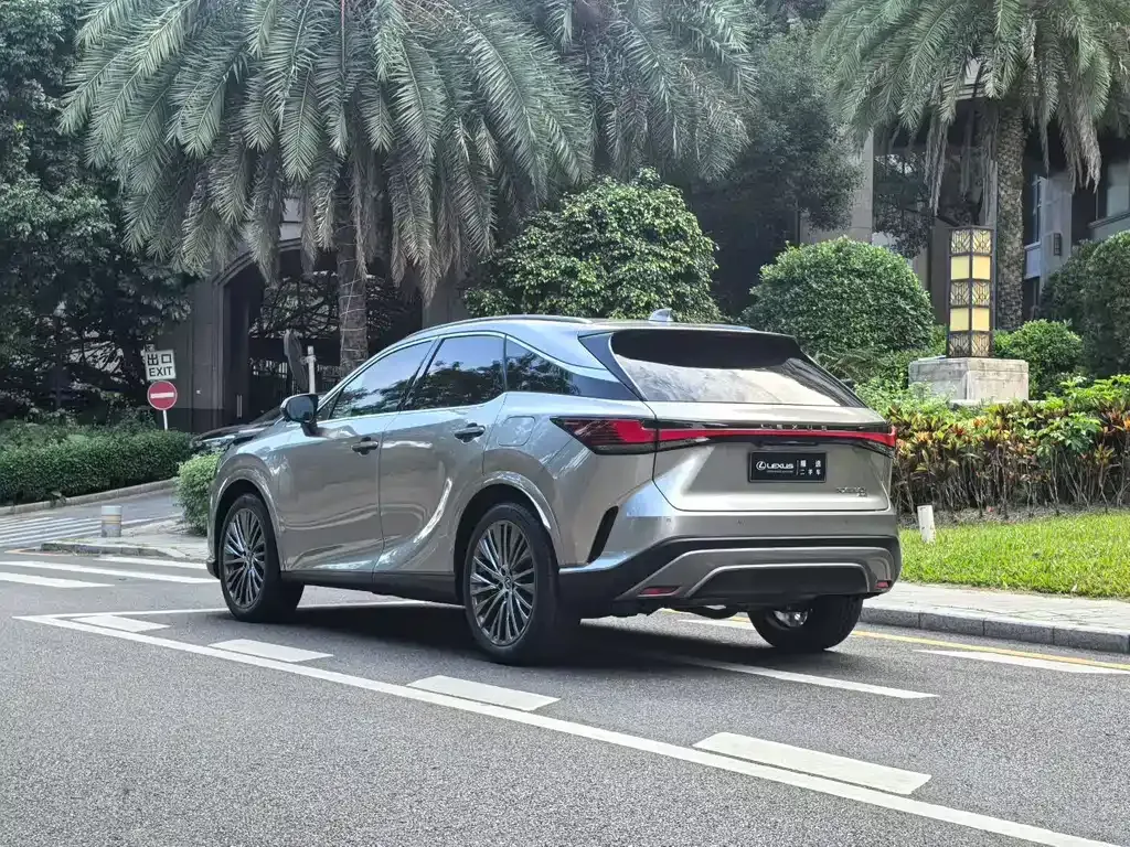 Lexus RX — фото 5