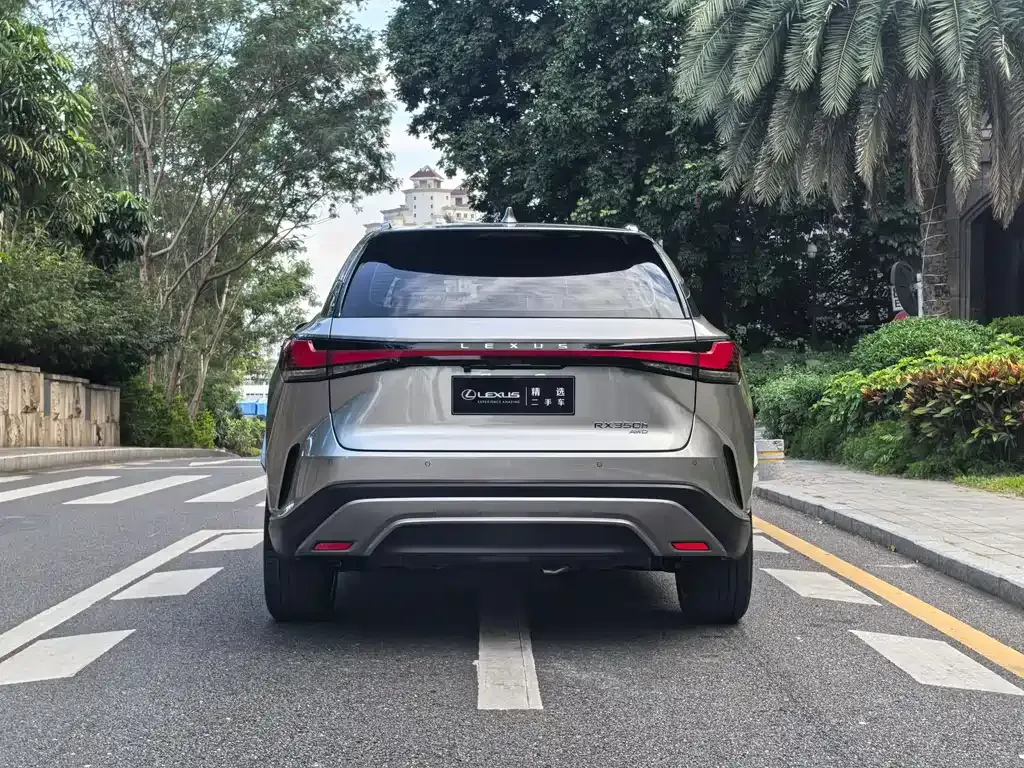 Lexus RX — фото 9