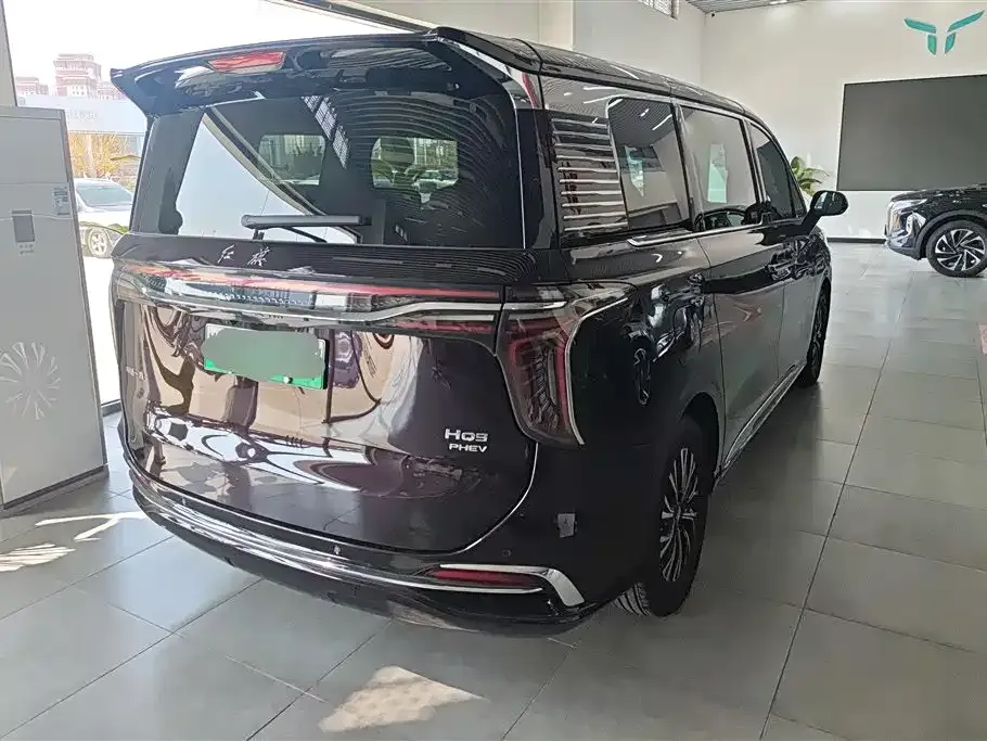 Hongqi HQ9 PHEV — фото 3