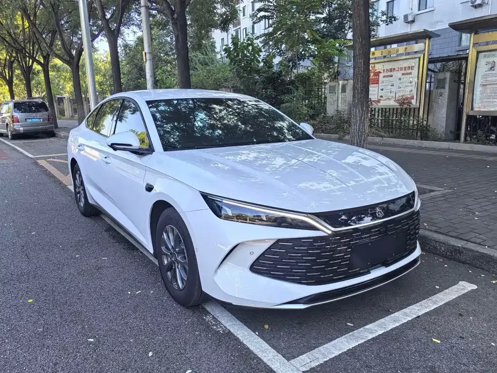 BYD Qin L — фото 4