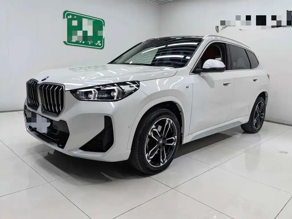 BMW X1 — фото 1