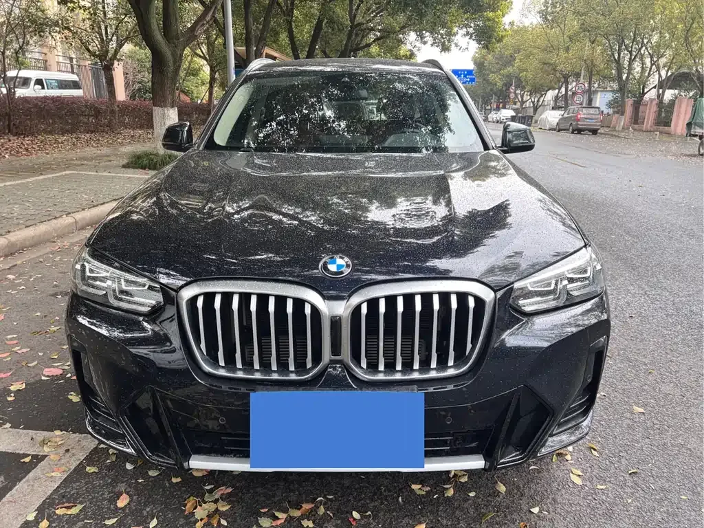 BMW X3 2022 из CN, фото 9
