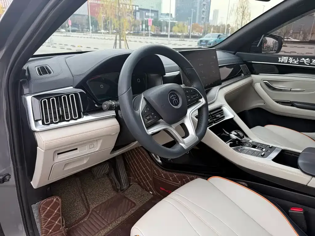 BYD PLUS New Energy — фото 3