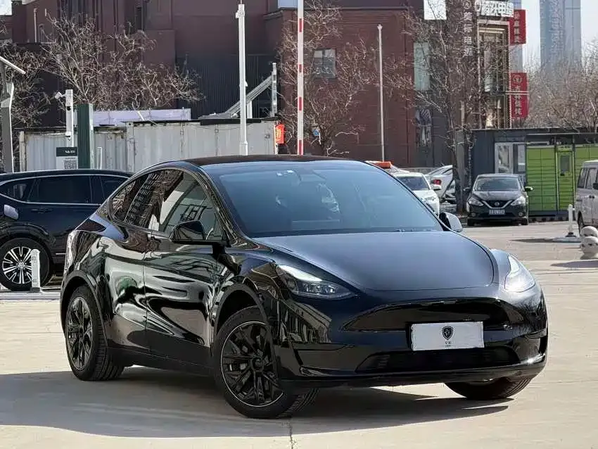 Tesla Model Y — фото 9