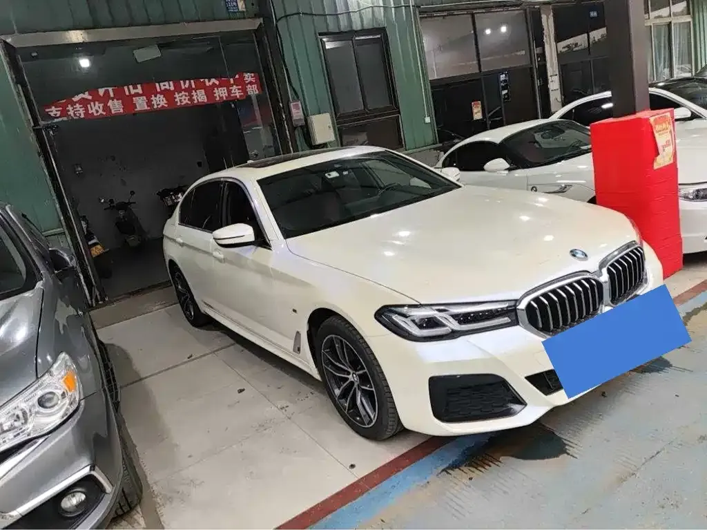 BMW 5 Series 2022 из CN, фото 1