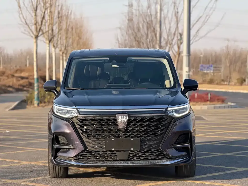 Roewe iMAX8 2021 из CN, фото 7