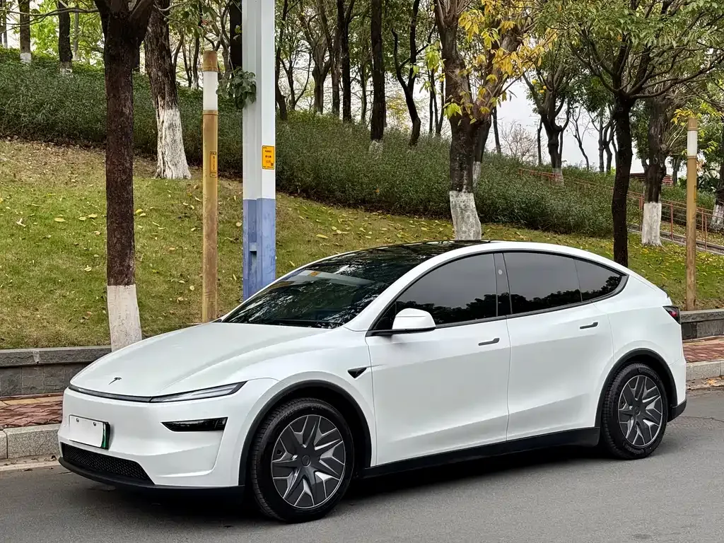 Tesla Model Y L — фото 1