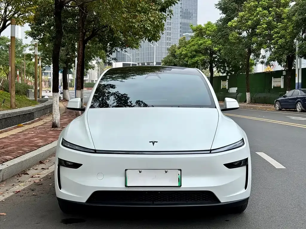 Tesla Model Y L — фото 6