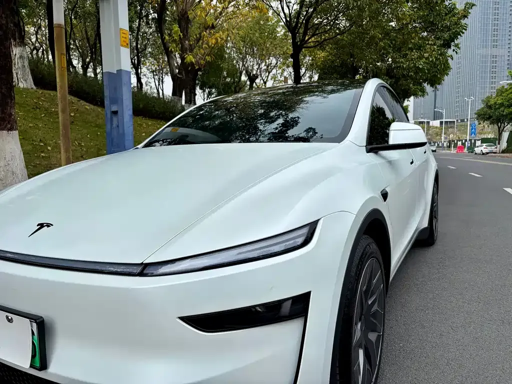 Tesla Model Y L — фото 3