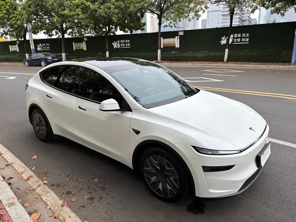 Tesla Model Y L — фото 8
