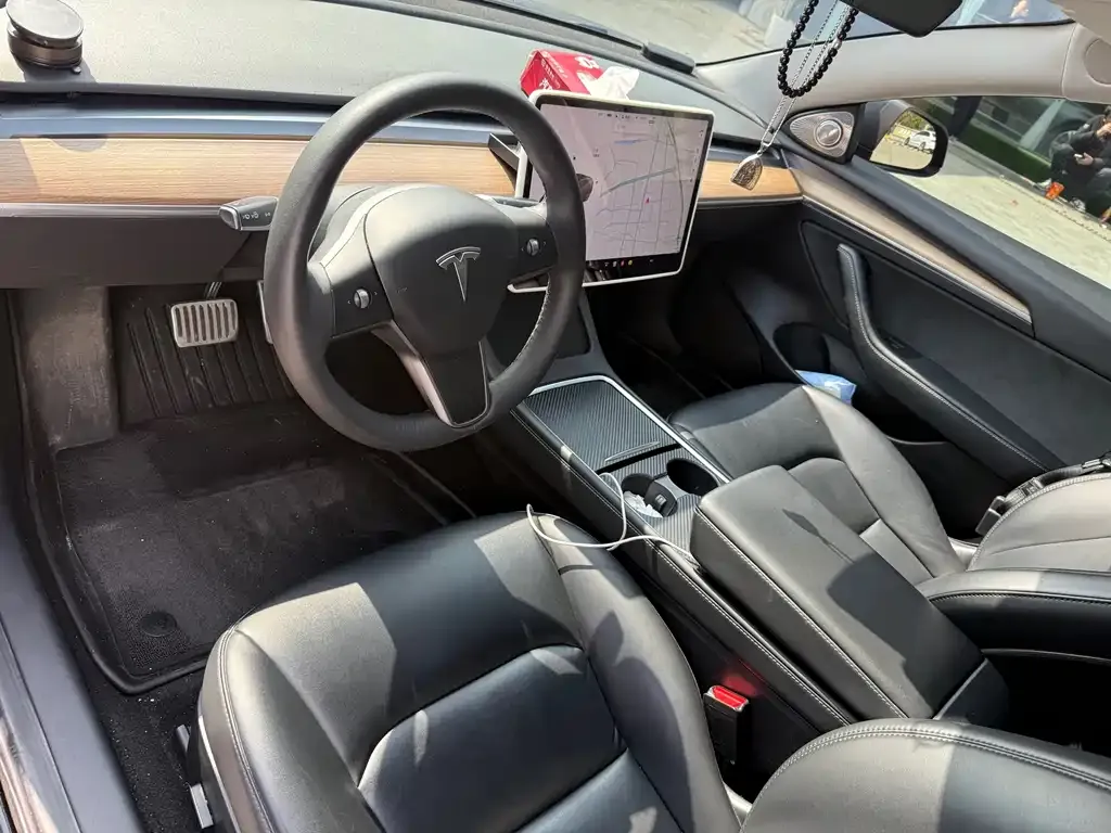 Tesla Model 3 2021 из CN, фото 5