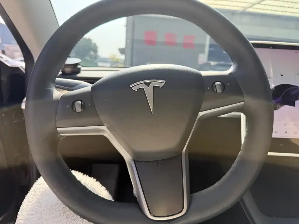 Tesla Model 3 2021 из CN, фото 2