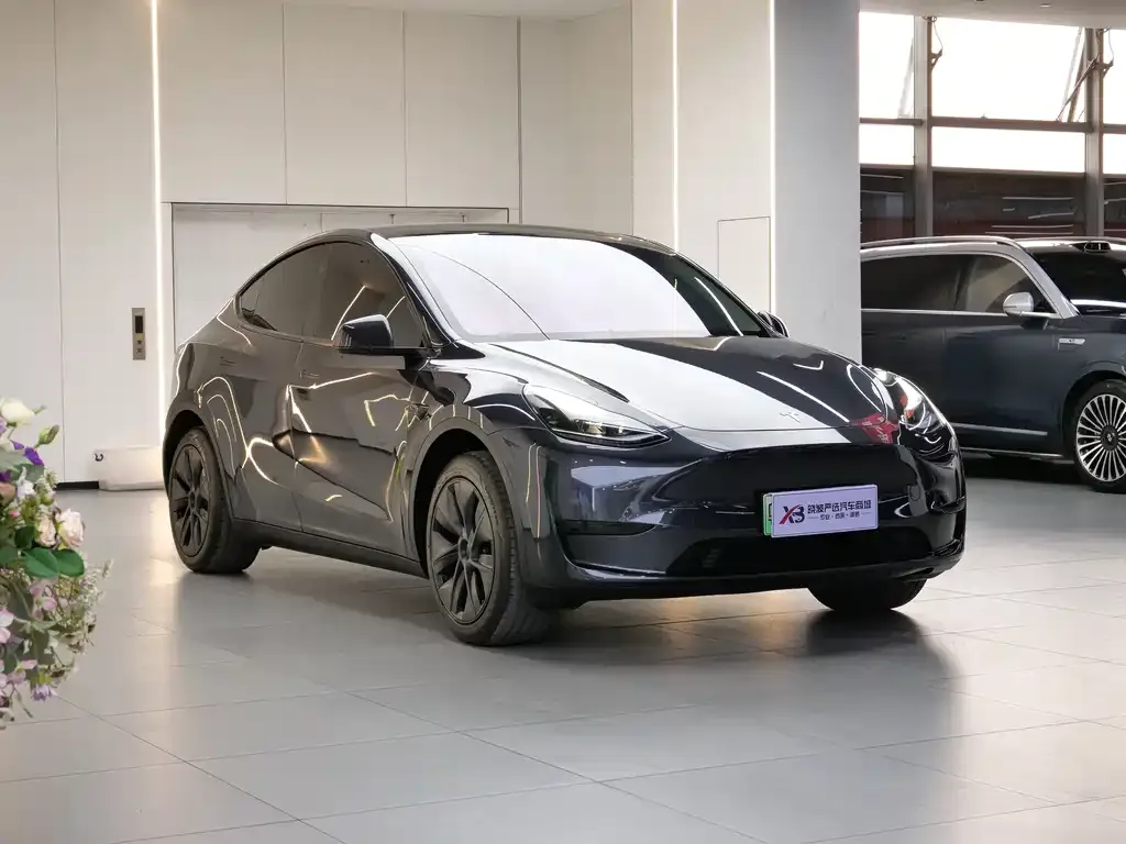 Tesla Model Y — фото 9