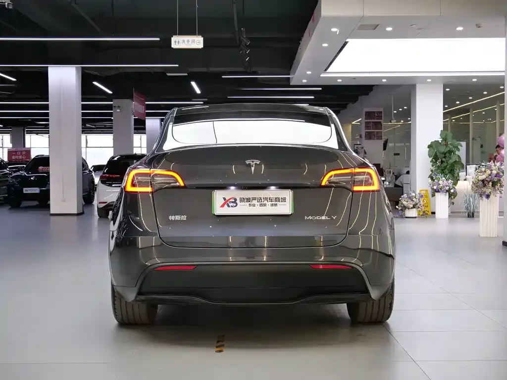Tesla Model Y — фото 10