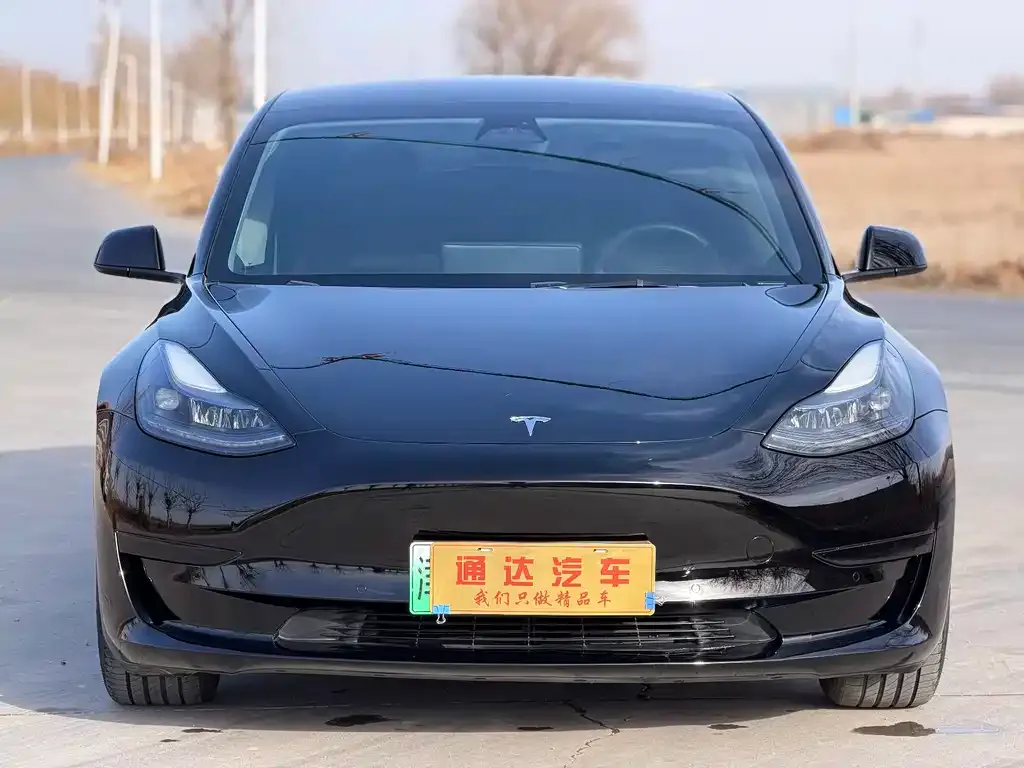 Tesla Model 3 — фото 1