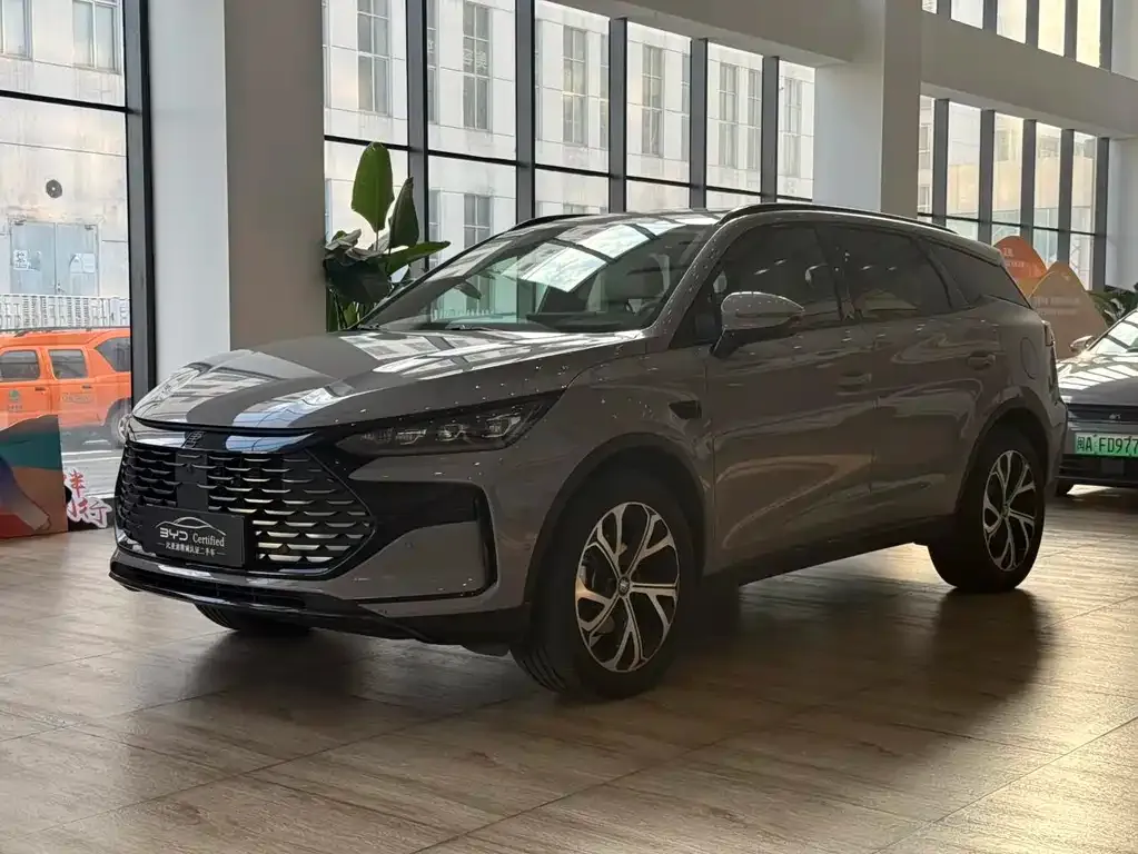 BYD Tang New Energy 2025 из CN, фото 1