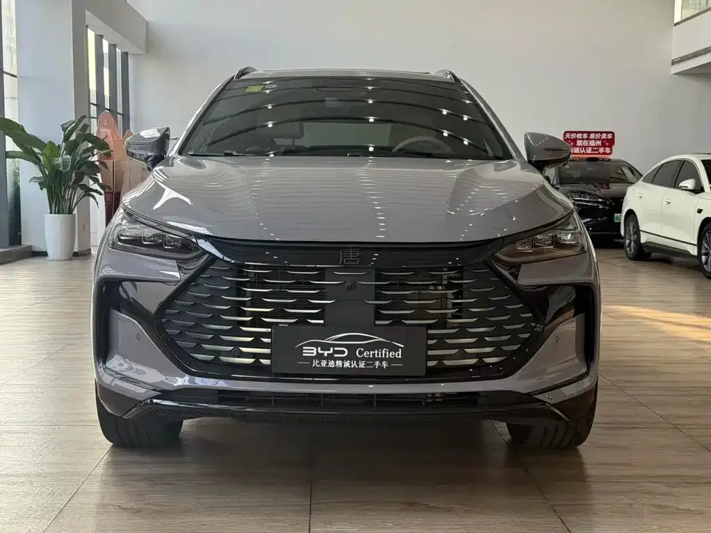 BYD Tang New Energy 2025 из CN, фото 8