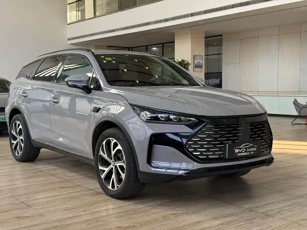 BYD Tang New Energy 2025 из CN, фото 7
