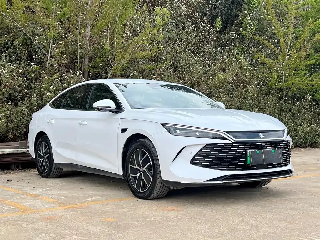 BYD Qin L — фото 10
