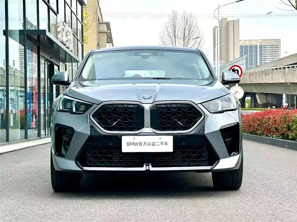 BMW X2 (Import) 2025 из CN, фото 5