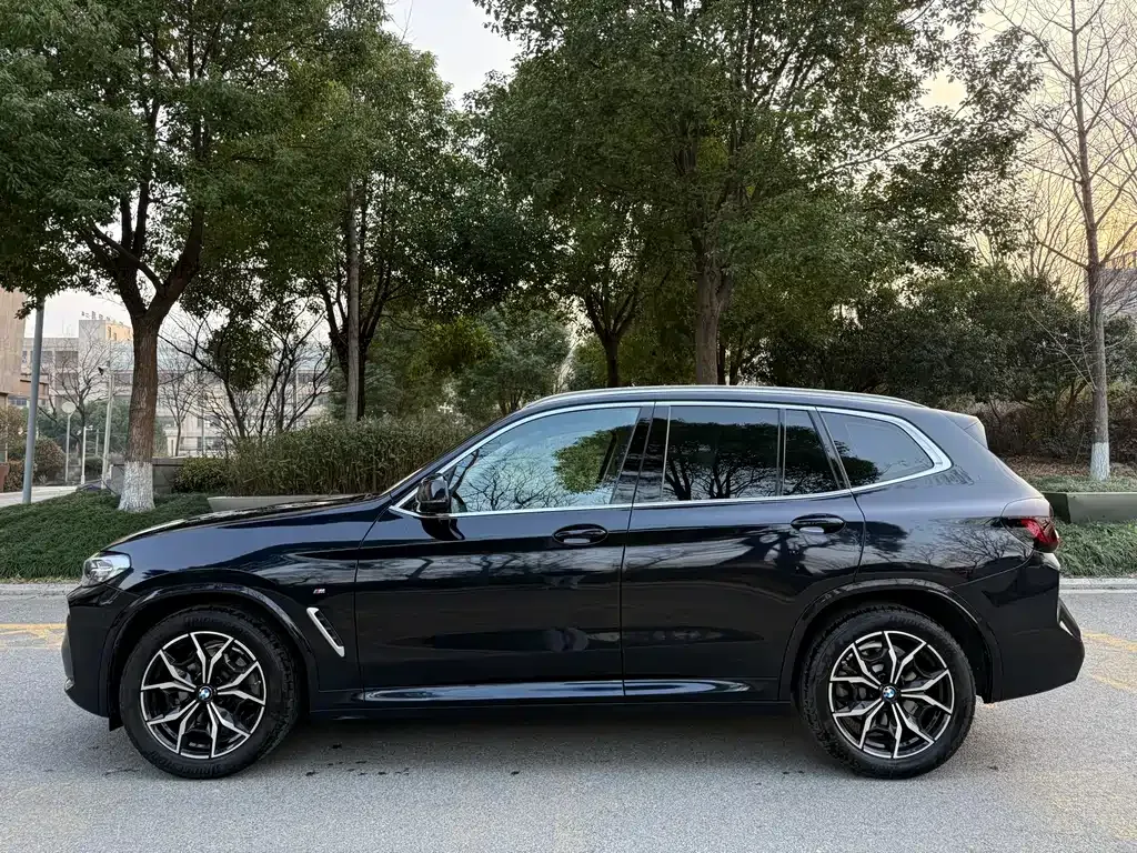 BMW X3 2023 из CN, фото 7