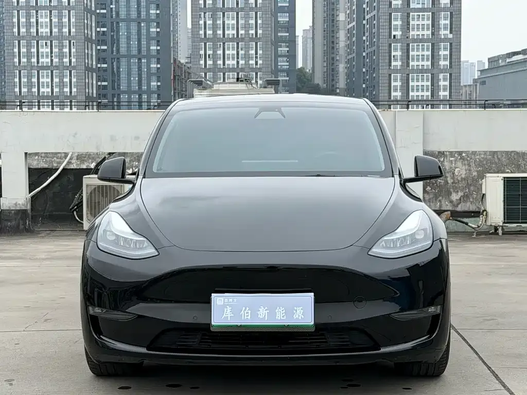 Tesla Model Y — фото 2