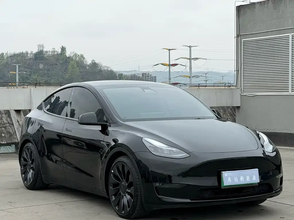Tesla Model Y — фото 10