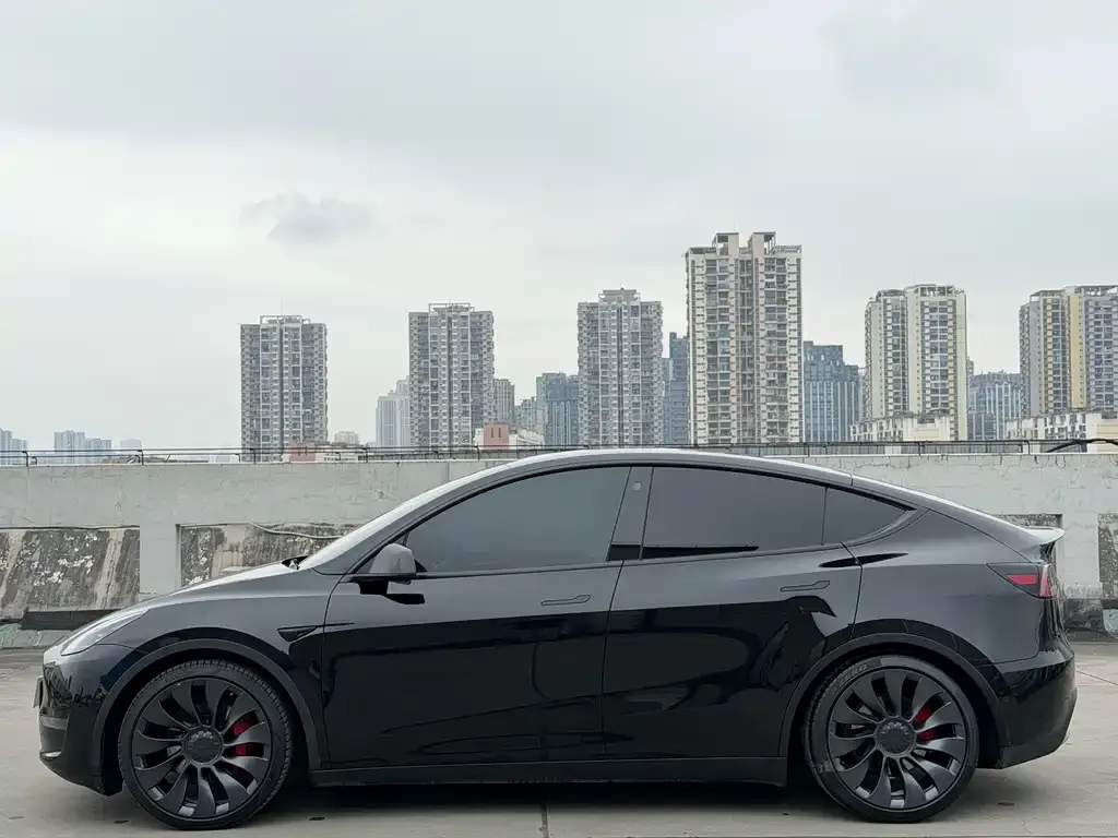 Tesla Model Y — фото 3