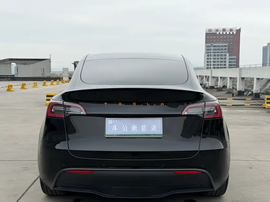 Tesla Model Y — фото 9