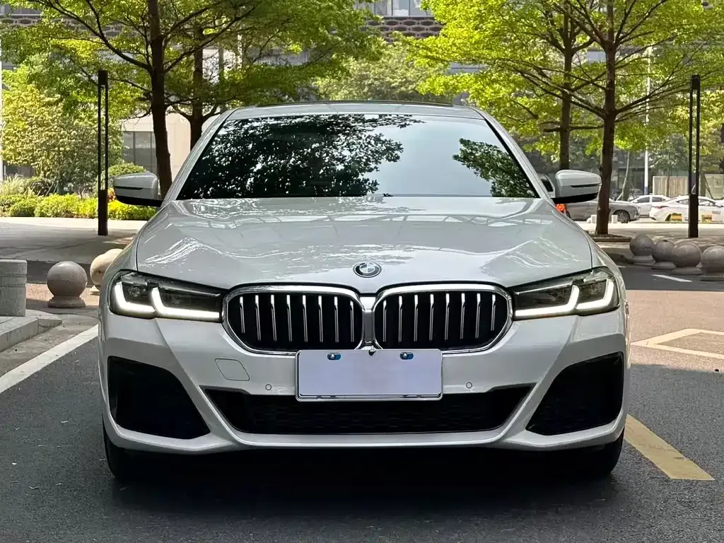 BMW 5 Series 2023 из CN, фото 7