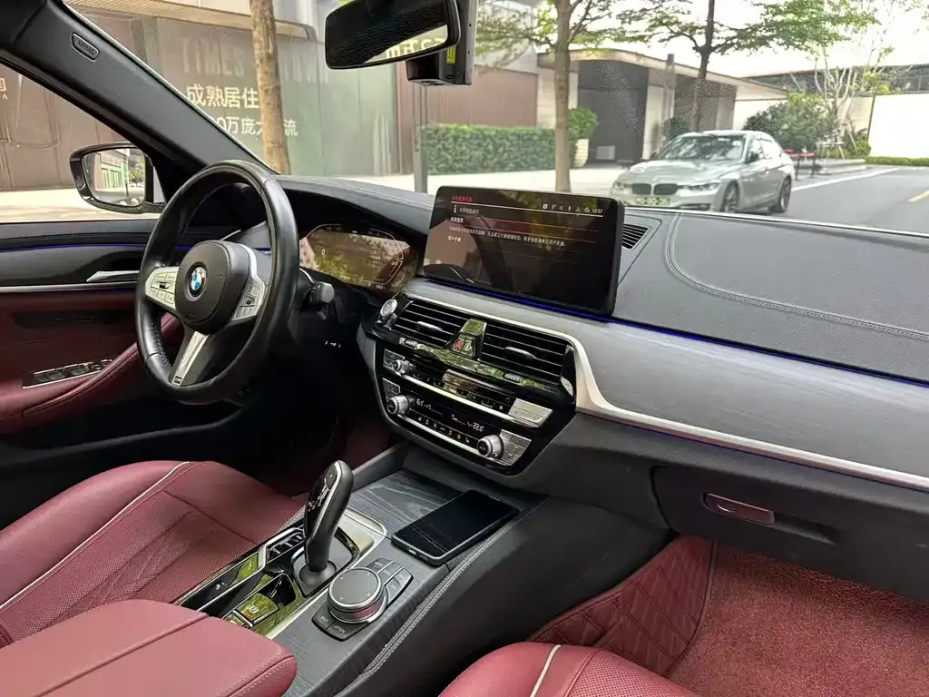 BMW 5 Series 2023 из CN, фото 8
