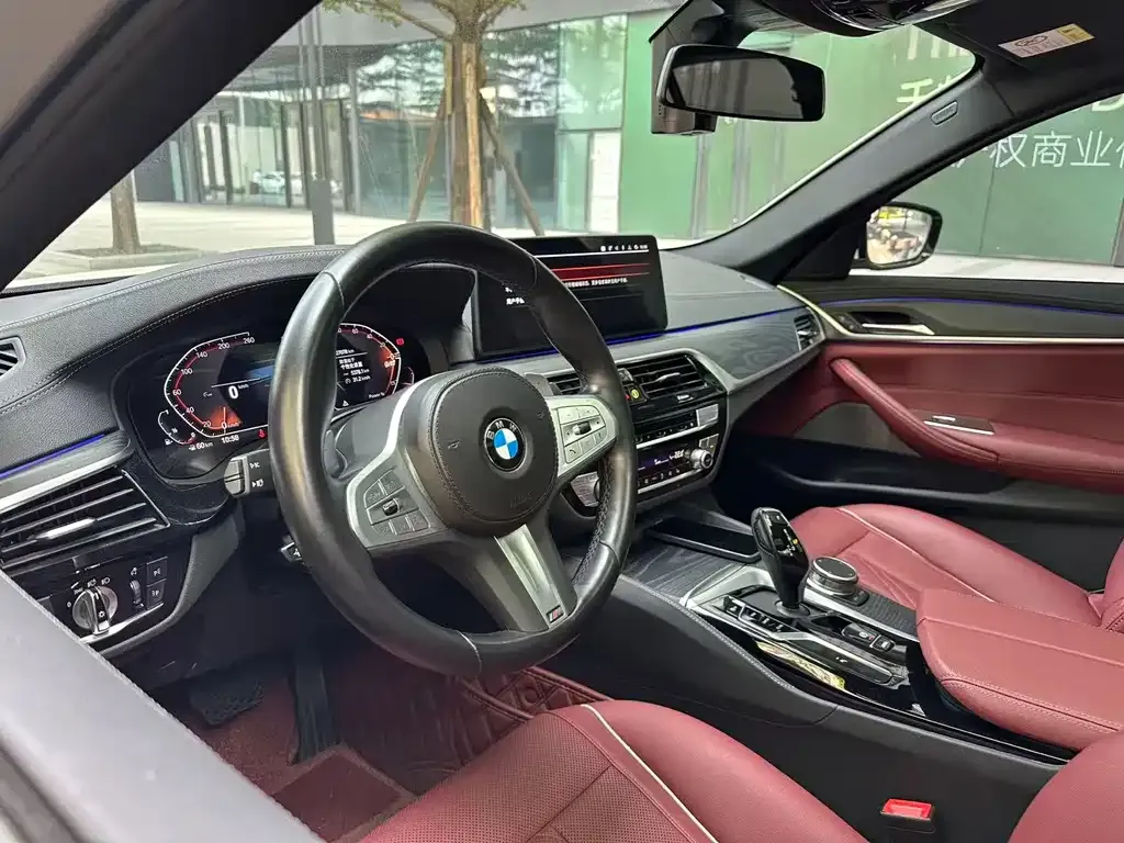 BMW 5 Series 2023 из CN, фото 4