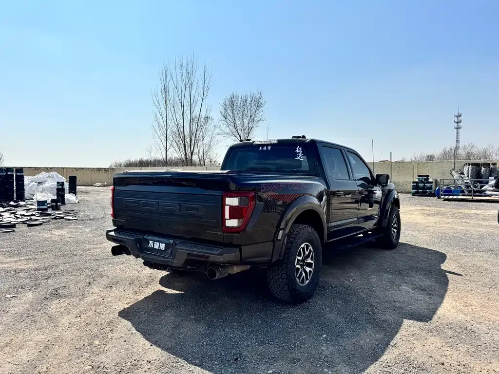 Ford F-150 Raptor — фото 9