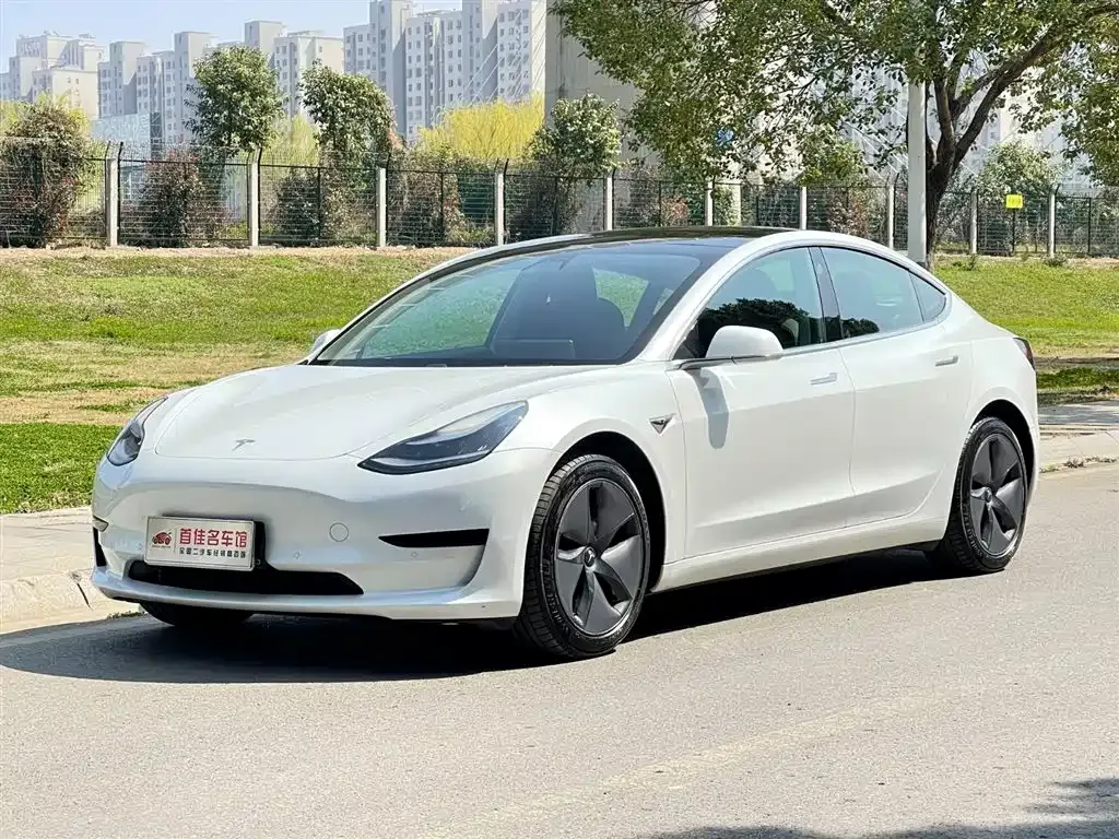 Tesla Model 3 2021 из CN, фото 1