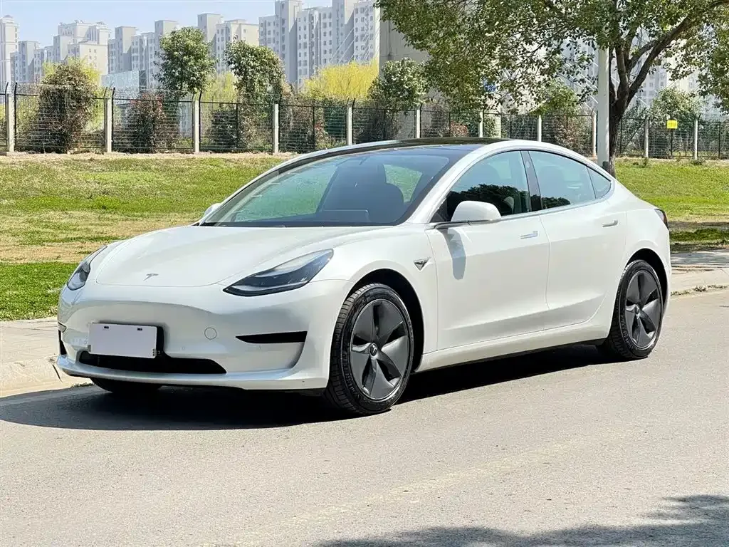 Tesla Model 3 2021 из CN, фото 7