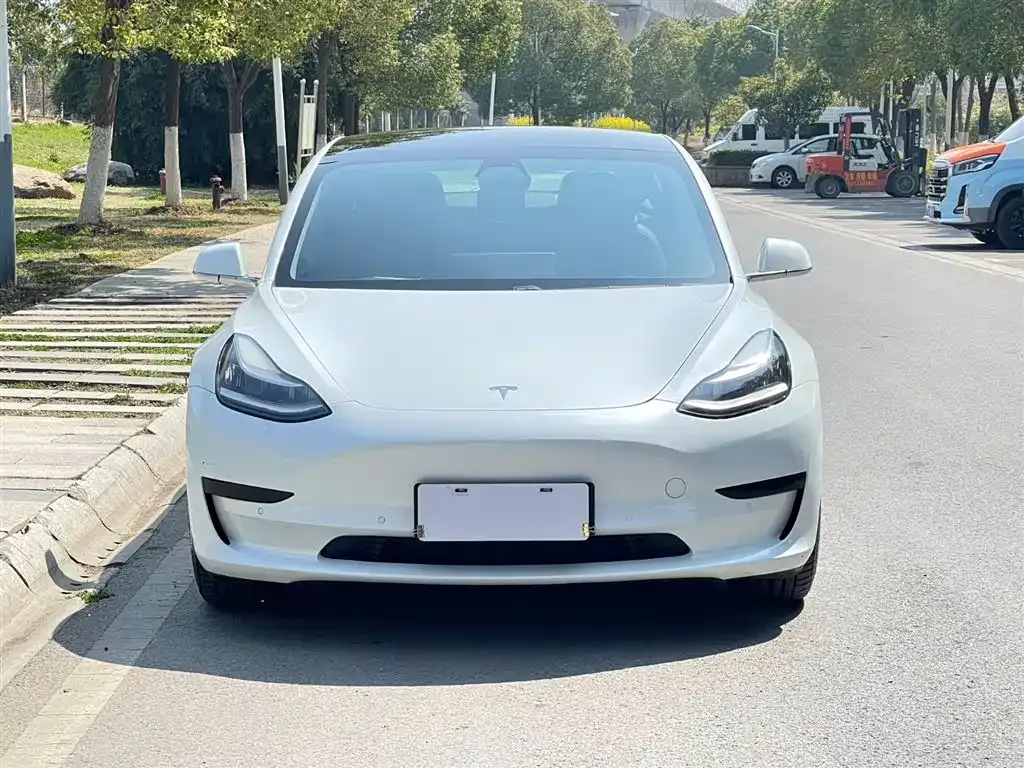 Tesla Model 3 2021 из CN, фото 3