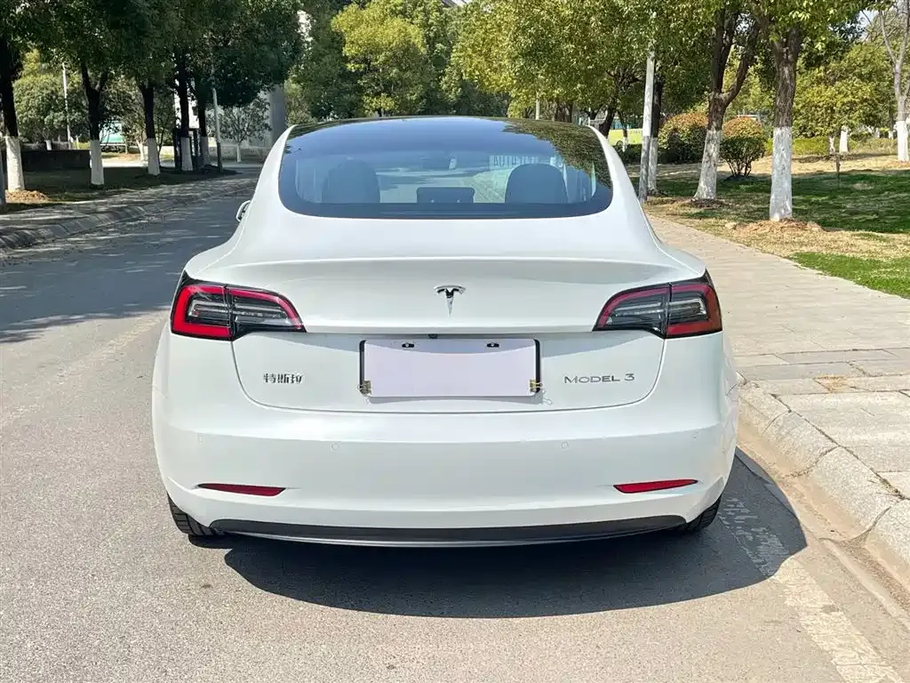 Tesla Model 3 2021 из CN, фото 4