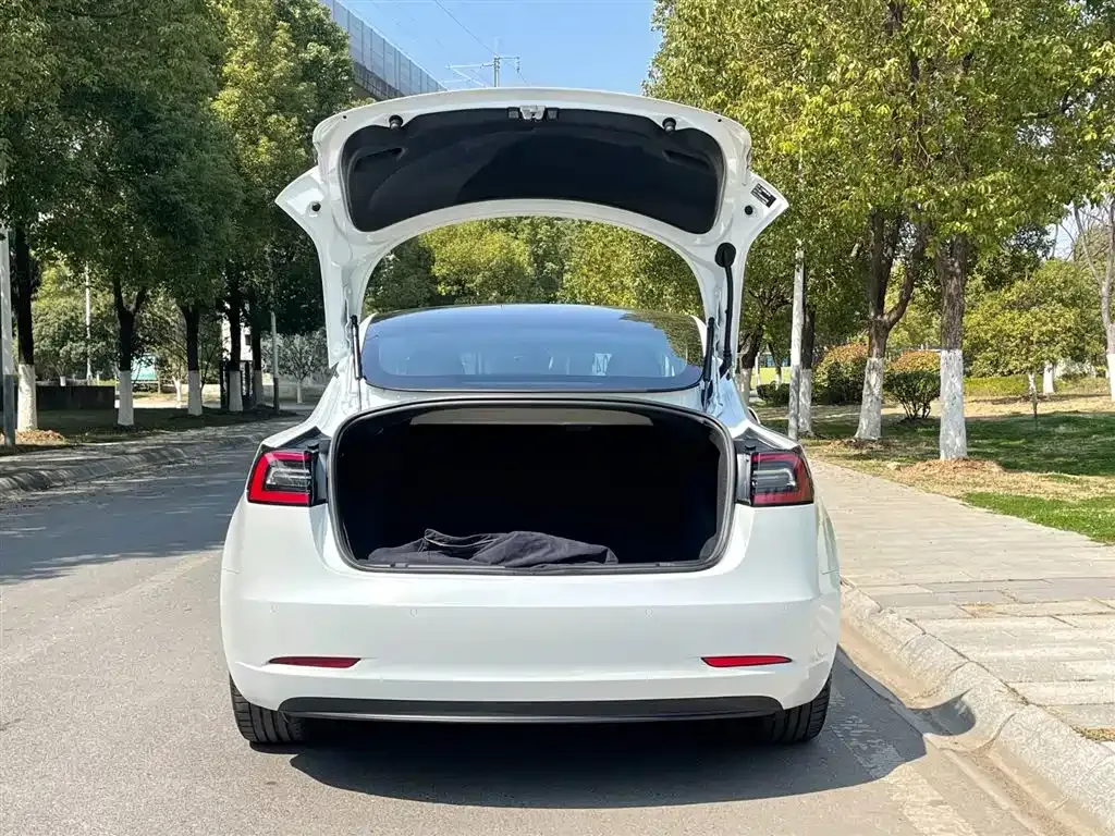 Tesla Model 3 2021 из CN, фото 6