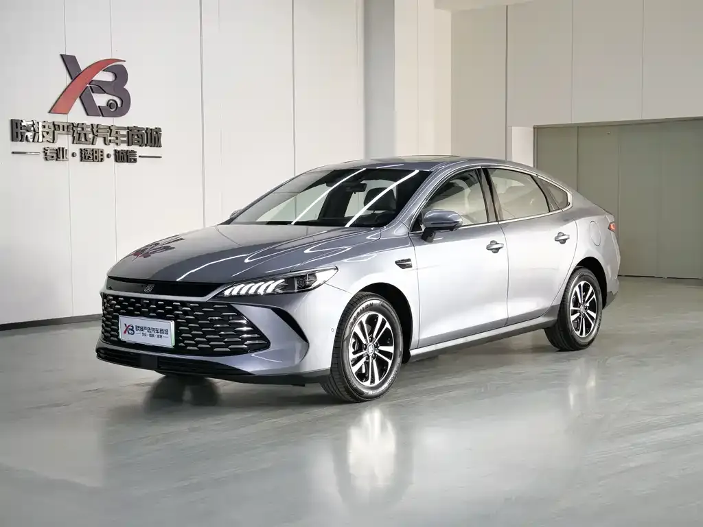 BYD Qin PLUS 2025 из CN, фото 1