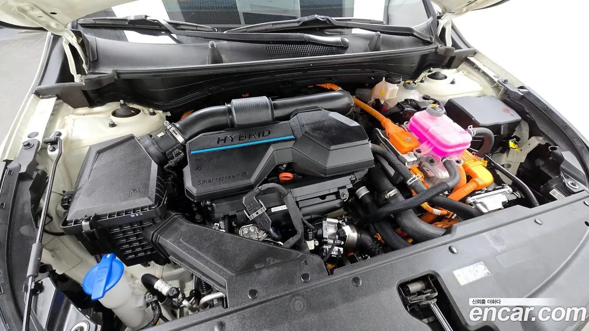 Kia Sportage — фото 2