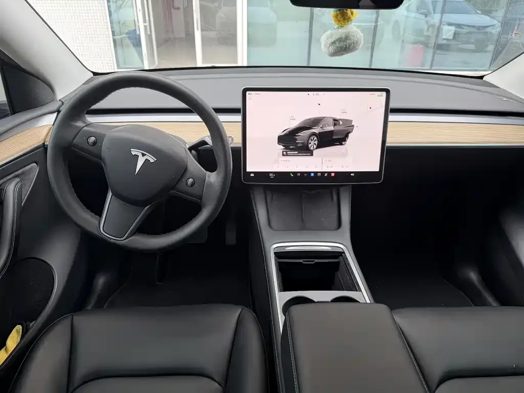 Tesla Model Y — фото 9