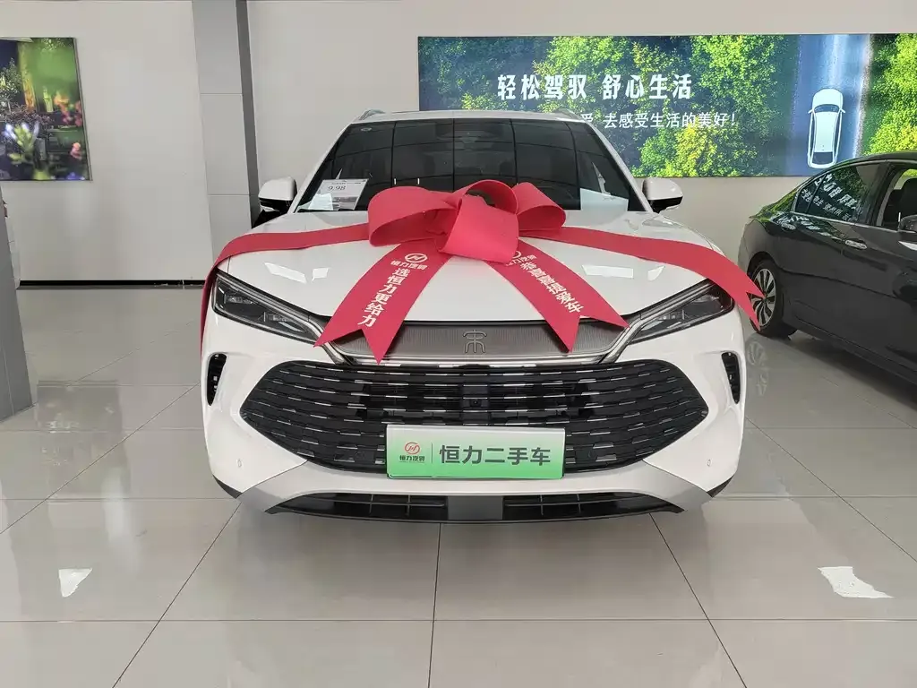 BYD L DM-i — фото 9